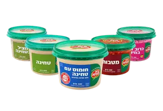 לוגו המותג בית השיטה