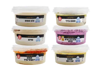 לוגו המותג פיקניק - סלטי שמיר